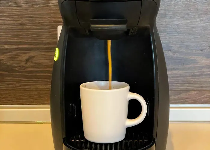 Book High Rise By Cosher * Sofia